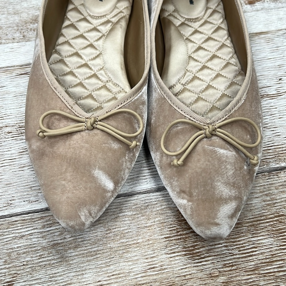 Birdies Goldfinch Pointed Toe Ballet Flat Shoe - Picture 8 of 8